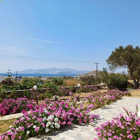 Lejlighed Dina's Diamond Agios Prokopios (Naxos)