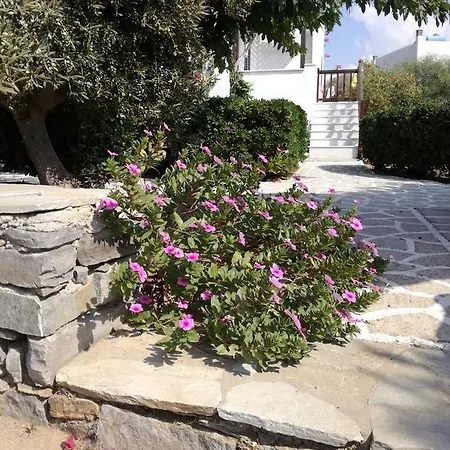 Dina's Diamond Lejlighed